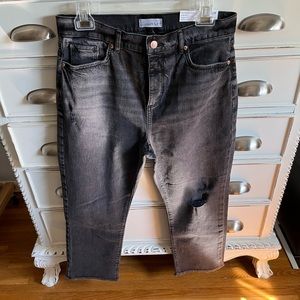 NWT! LOFT Petite High Rise Jeans